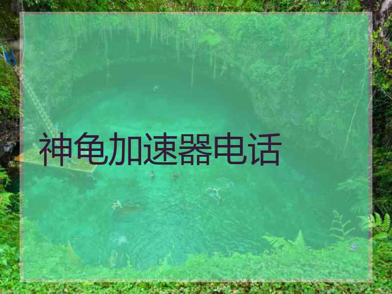 神龟加速器电话