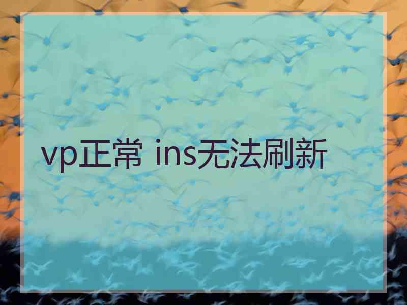 vp正常 ins无法刷新