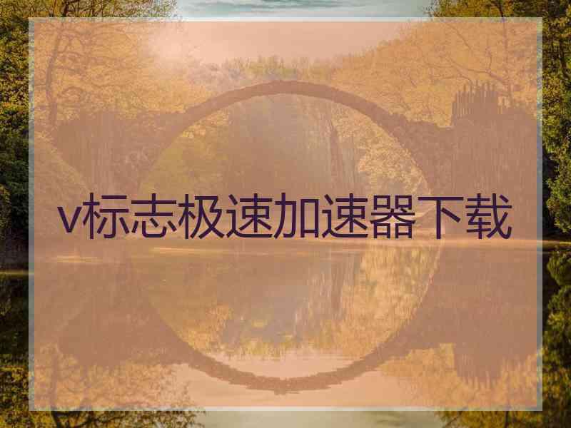v标志极速加速器下载