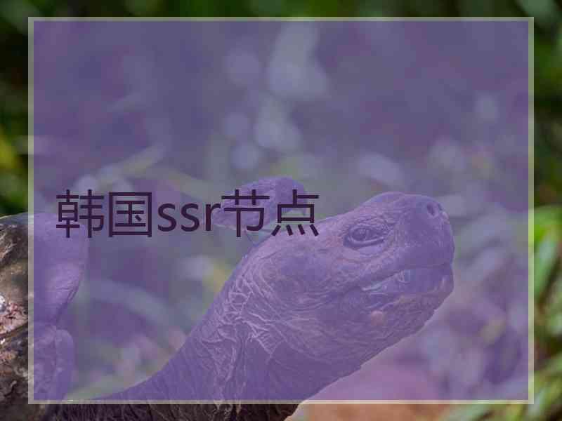 韩国ssr节点