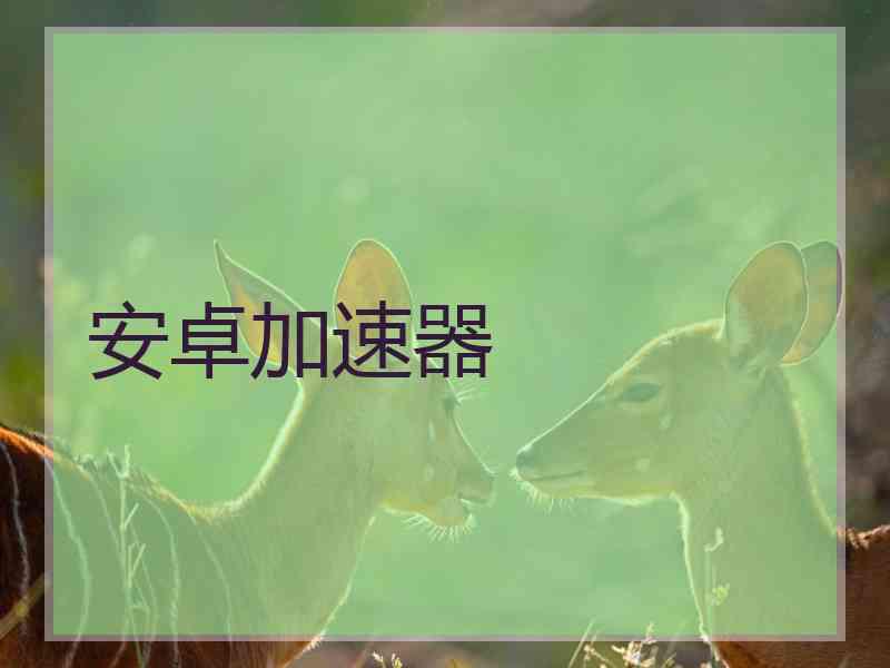 安卓加速器
