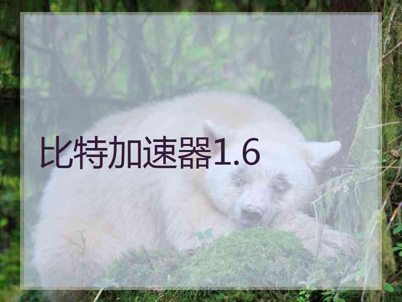 比特加速器1.6