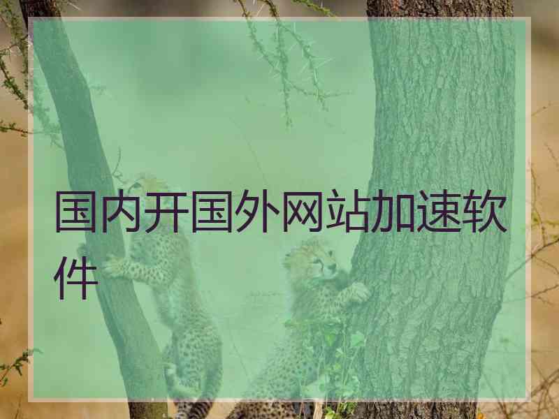 国内开国外网站加速软件