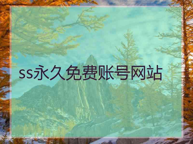 ss永久免费账号网站