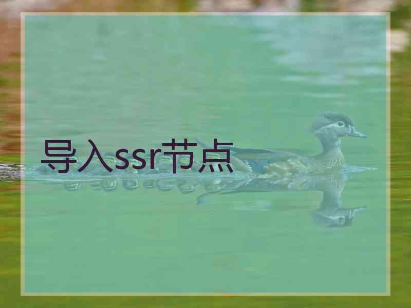 导入ssr节点