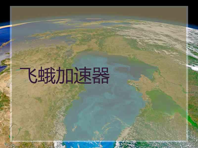 飞蛾加速器