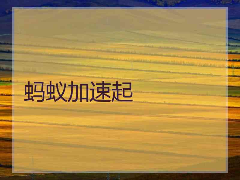蚂蚁加速起