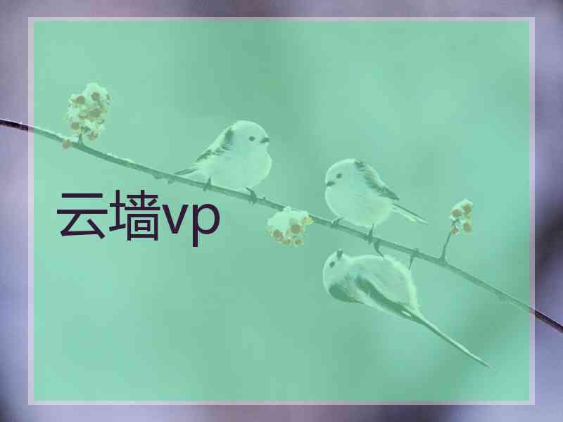 云墙vp