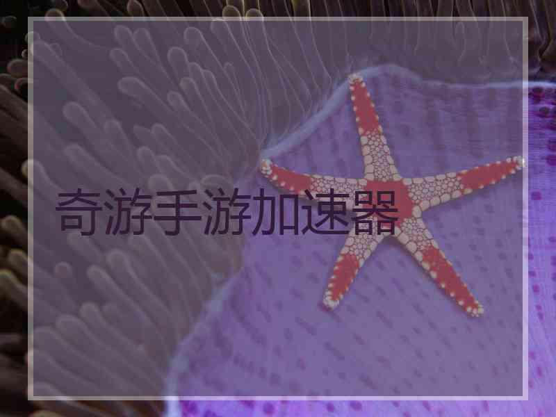 奇游手游加速器