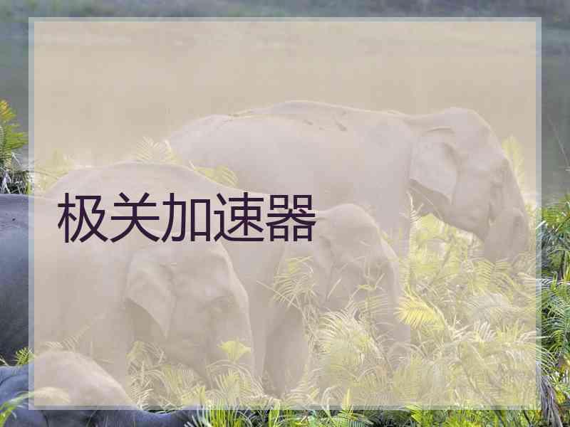 极关加速器