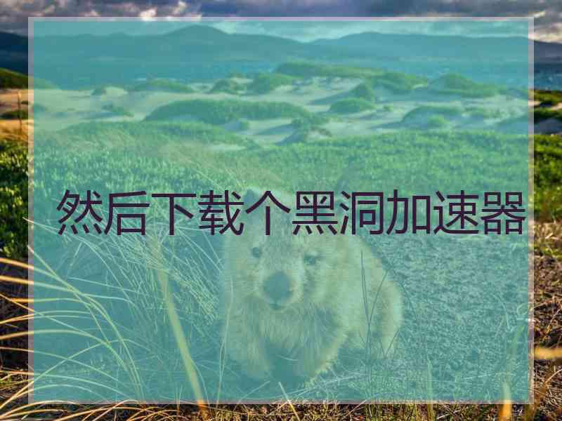 然后下载个黑洞加速器