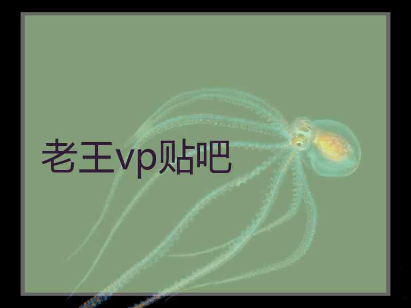老王vp贴吧