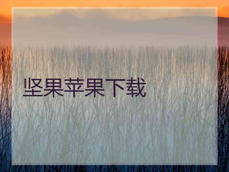 坚果苹果下载
