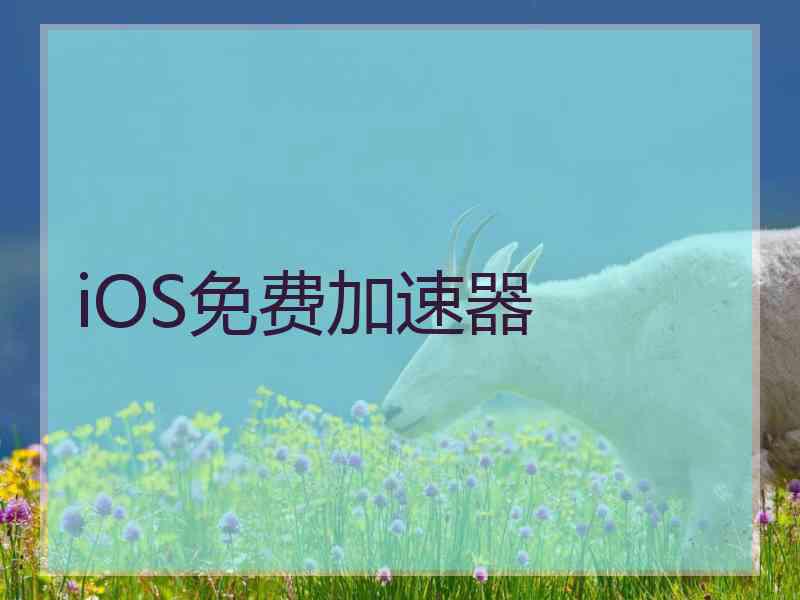 iOS免费加速器