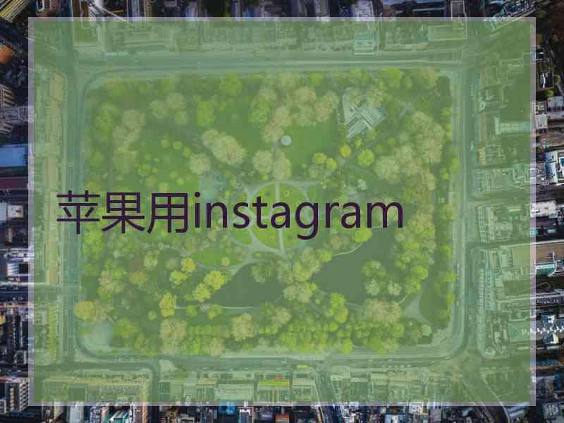 苹果用instagram