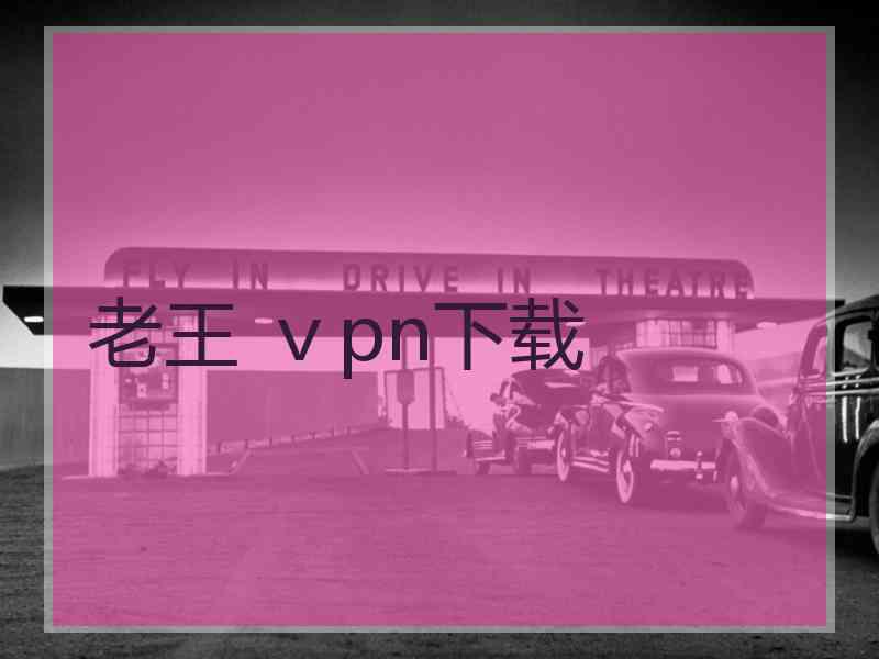 老王 ⅴpn下载