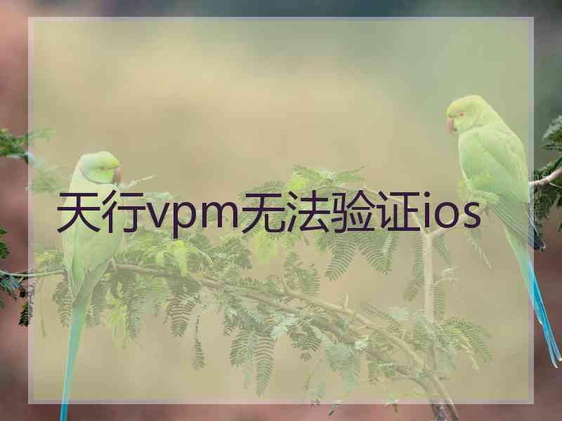 天行vpm无法验证ios