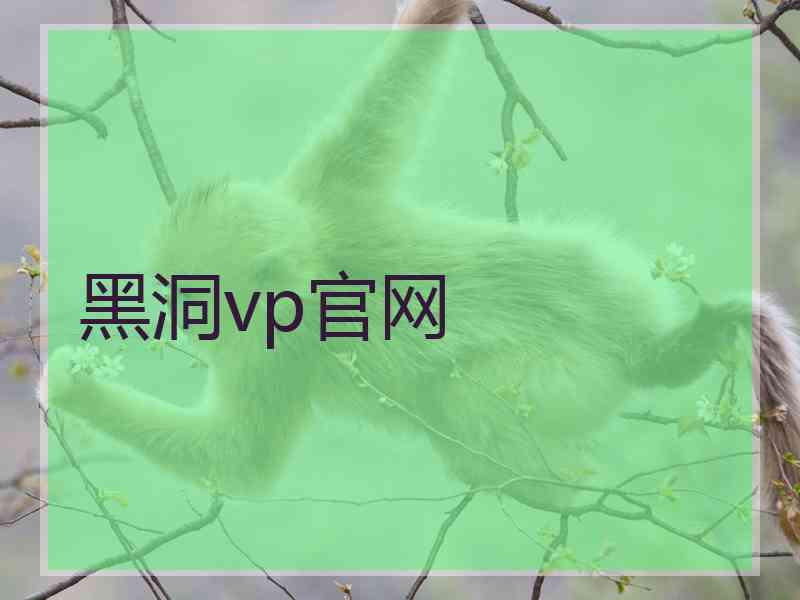 黑洞vp官网