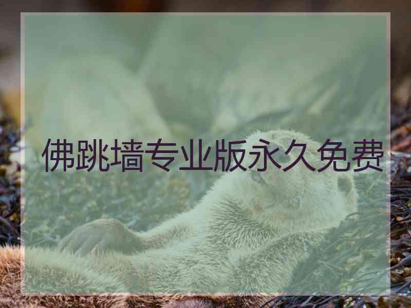 佛跳墙专业版永久免费