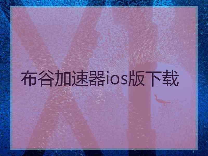 布谷加速器ios版下载