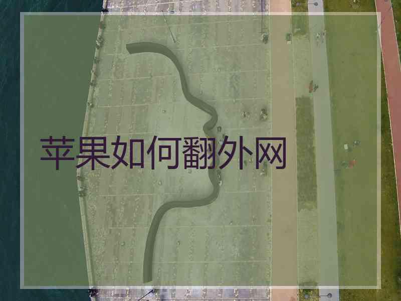 苹果如何翻外网