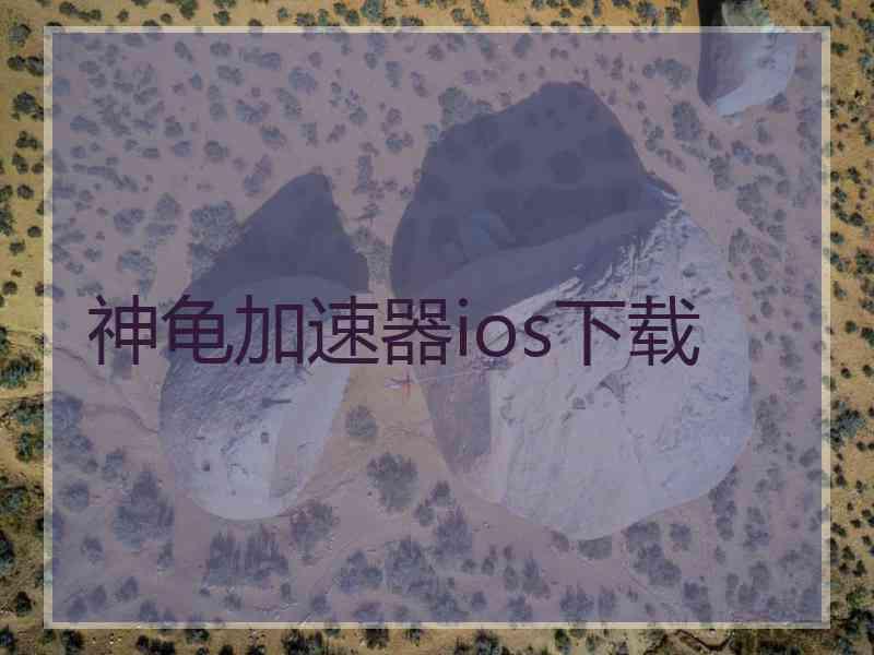神龟加速器ios下载
