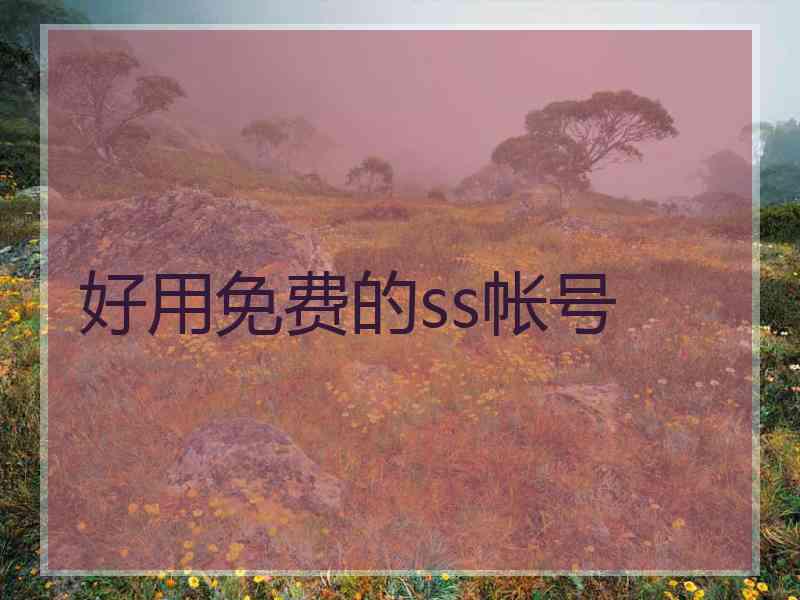 好用免费的ss帐号