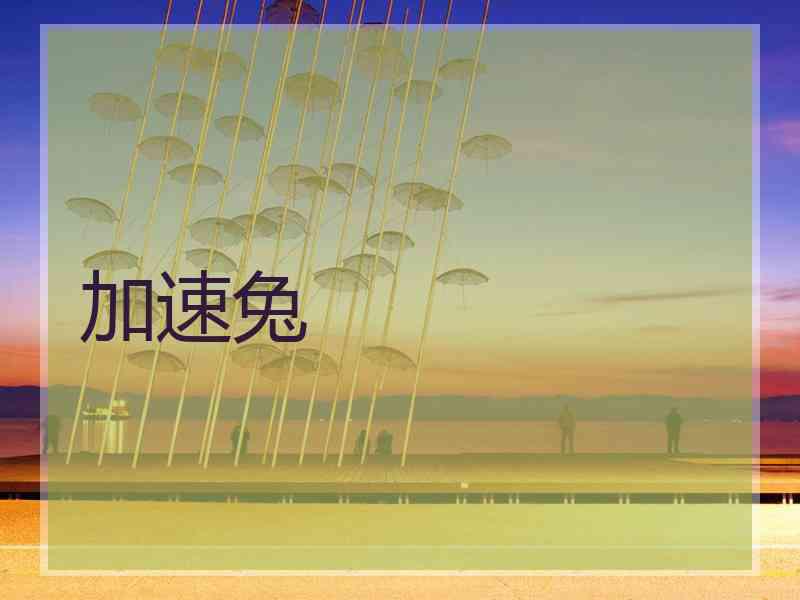 加速兔