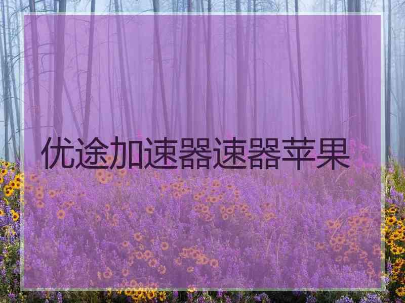 优途加速器速器苹果