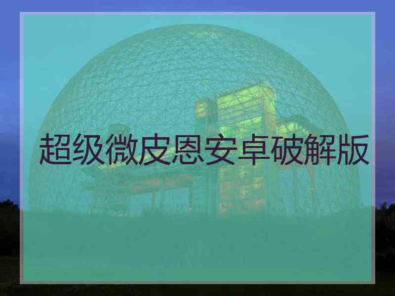 超级微皮恩安卓破解版