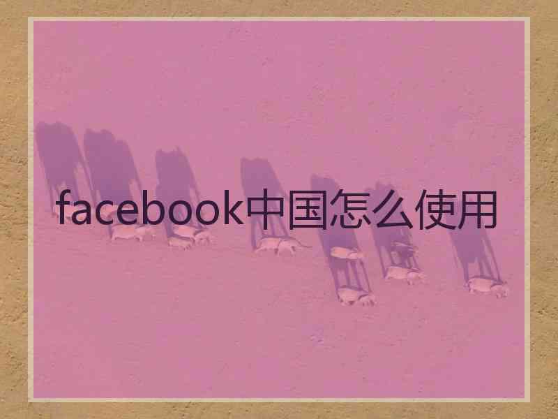 facebook中国怎么使用