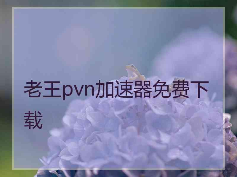 老王pvn加速器免费下载