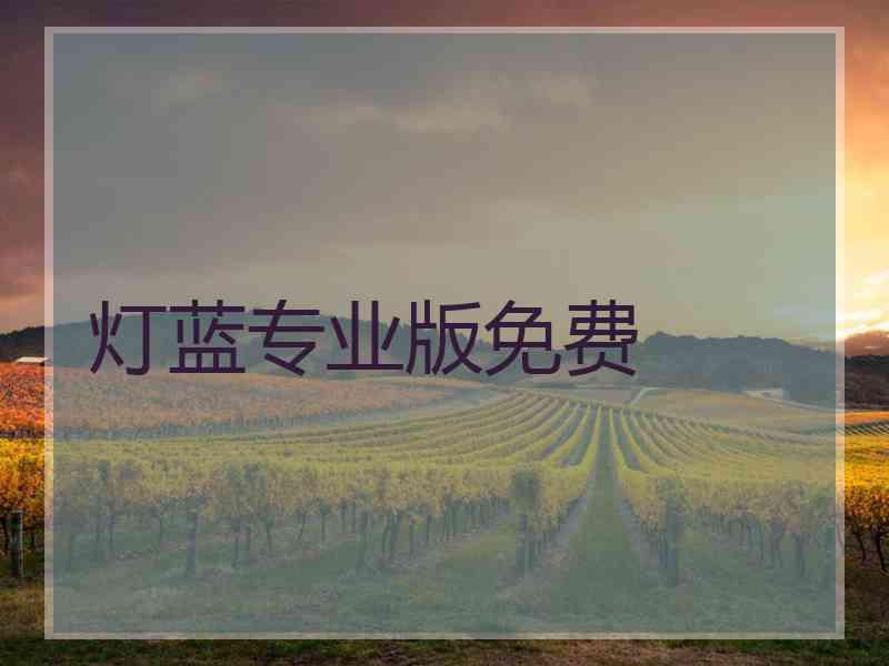 灯蓝专业版免费