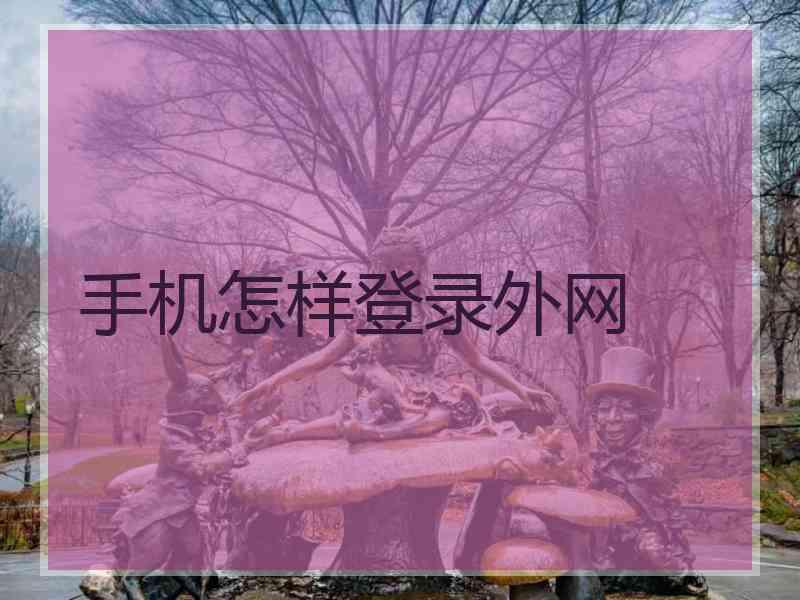 手机怎样登录外网