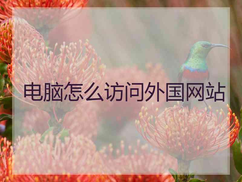 电脑怎么访问外国网站