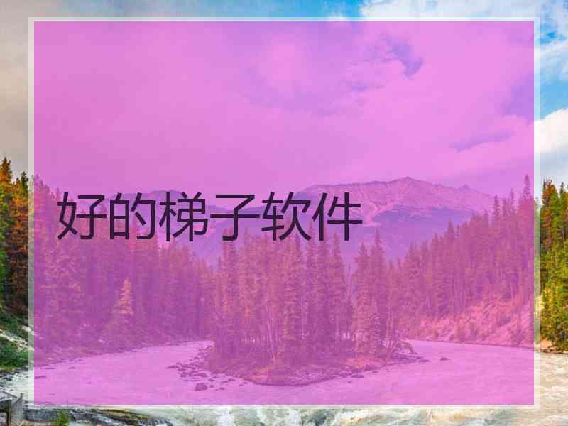 好的梯子软件