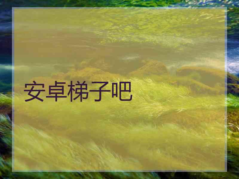 安卓梯子吧