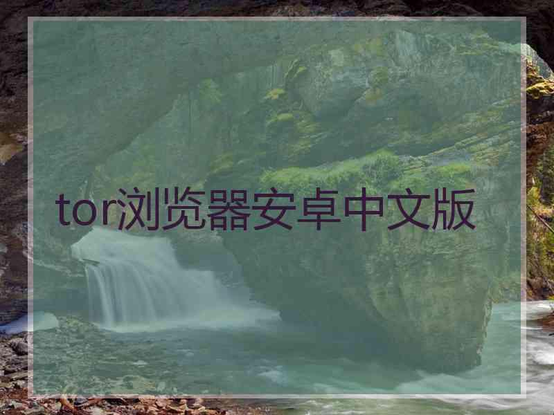 tor浏览器安卓中文版