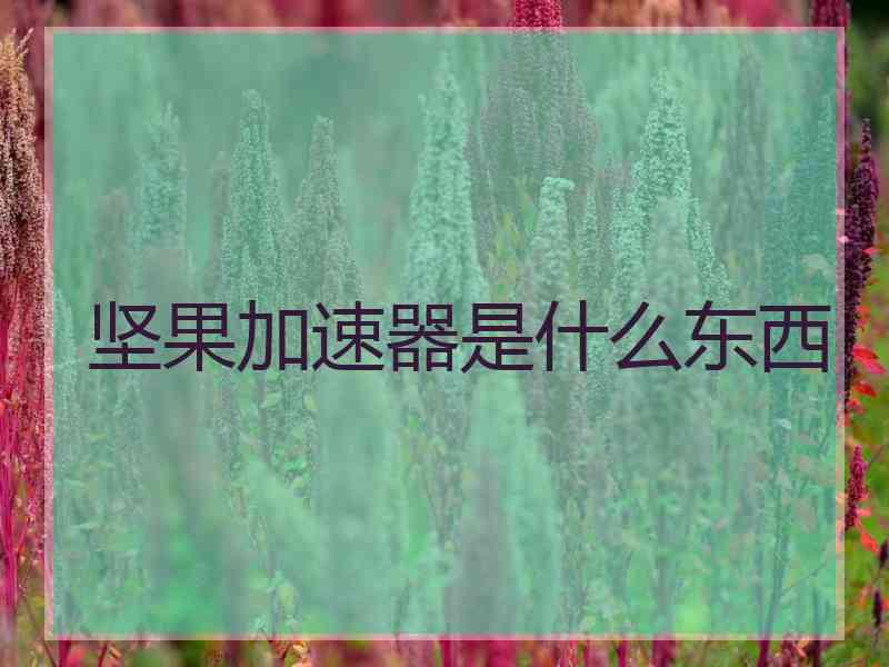 坚果加速器是什么东西