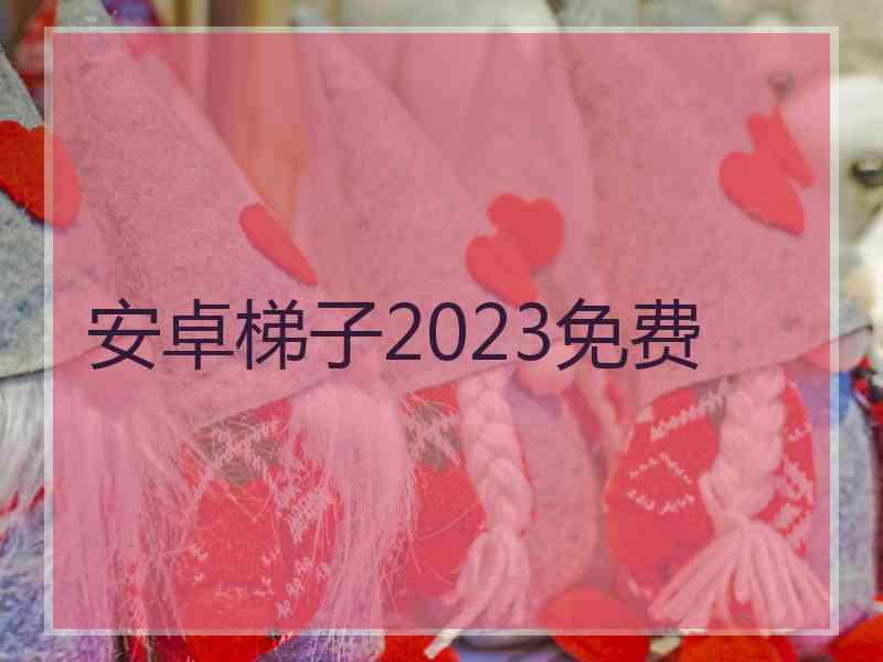 安卓梯子2023免费