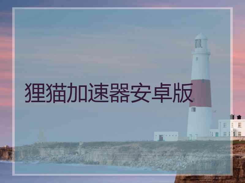 狸猫加速器安卓版