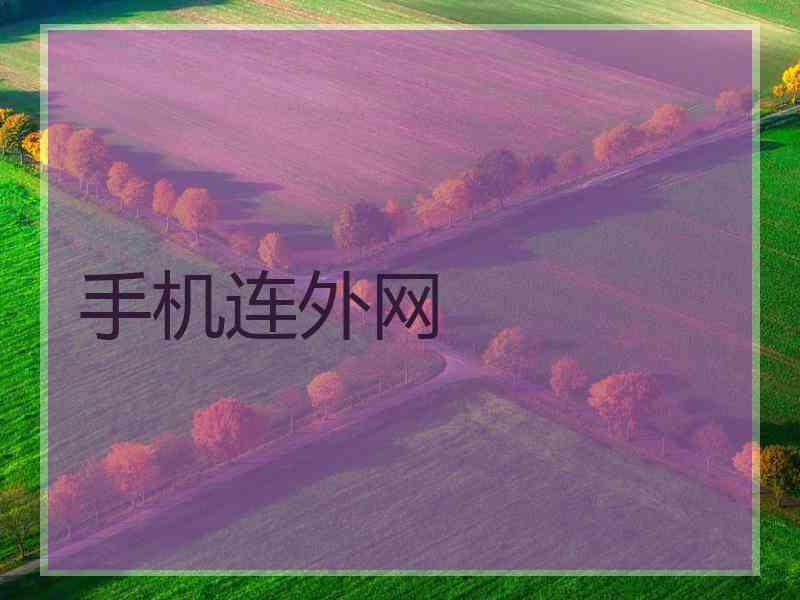 手机连外网