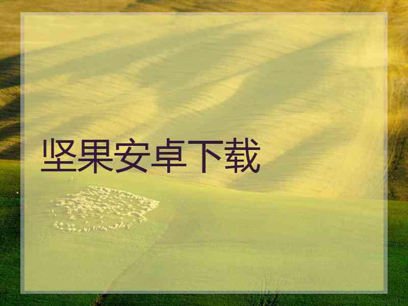 坚果安卓下载