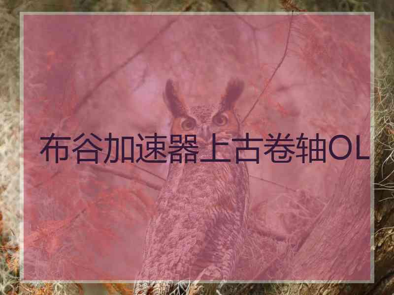布谷加速器上古卷轴OL