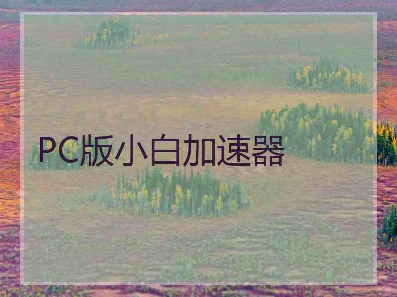 PC版小白加速器