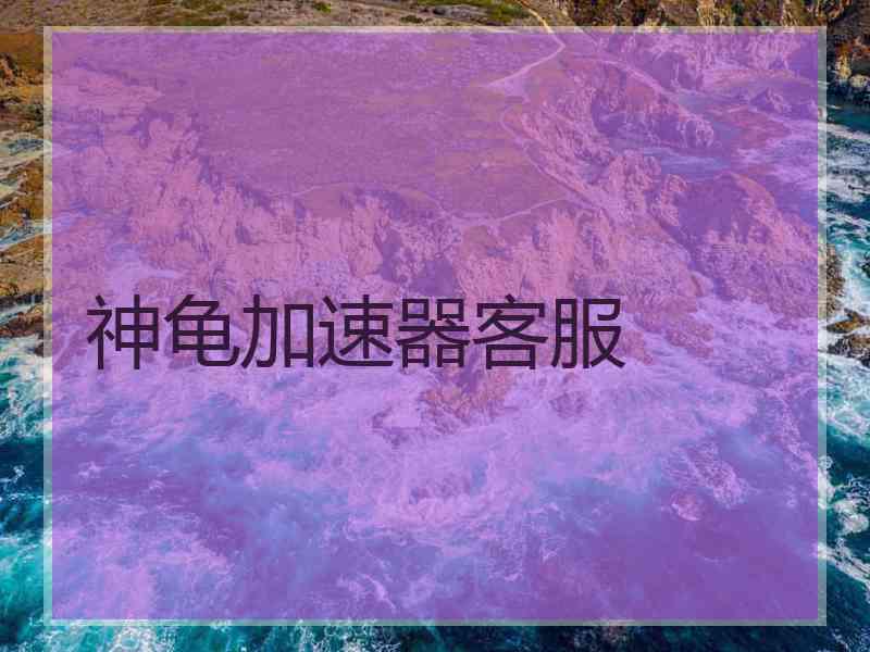 神龟加速器客服