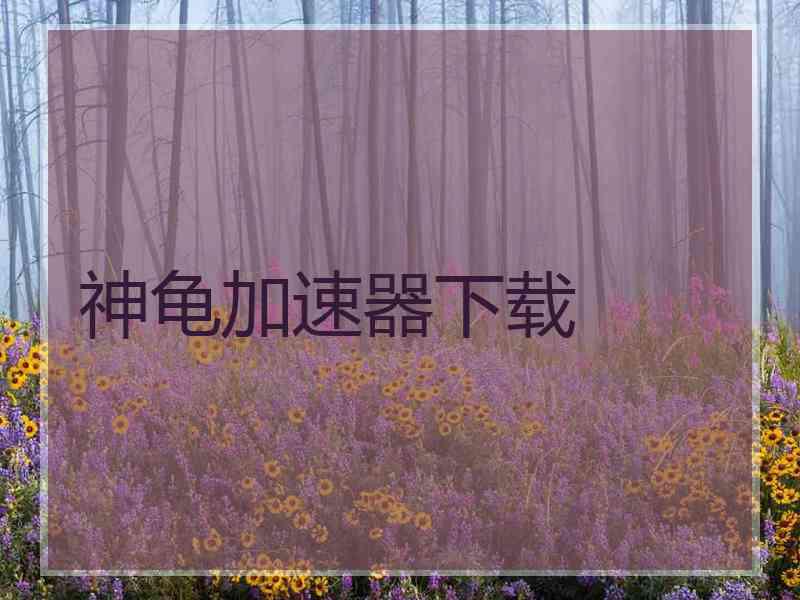 神龟加速器下载