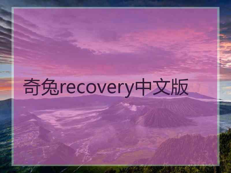 奇兔recovery中文版
