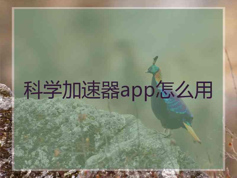 科学加速器app怎么用