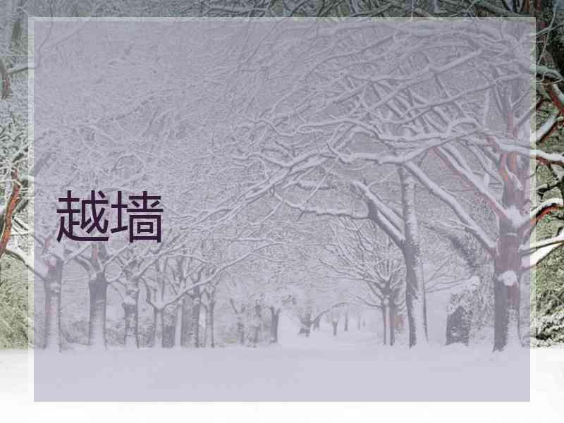 越墙